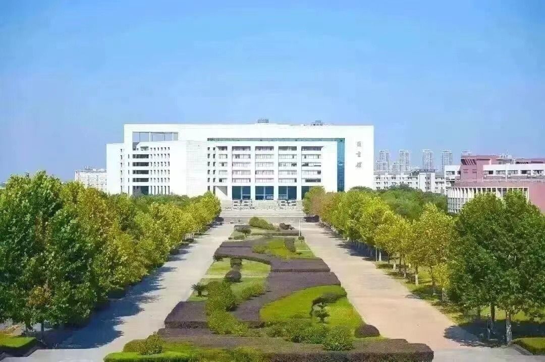 足球投注app